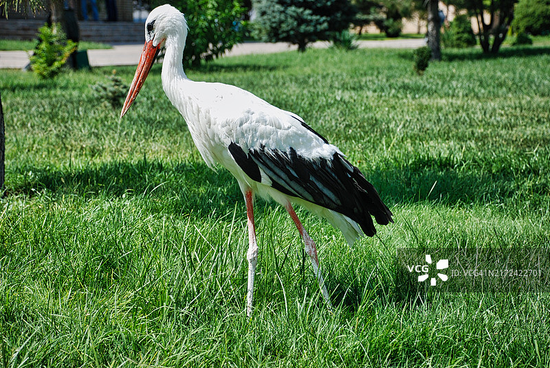 打破对控制的幻想图片素材