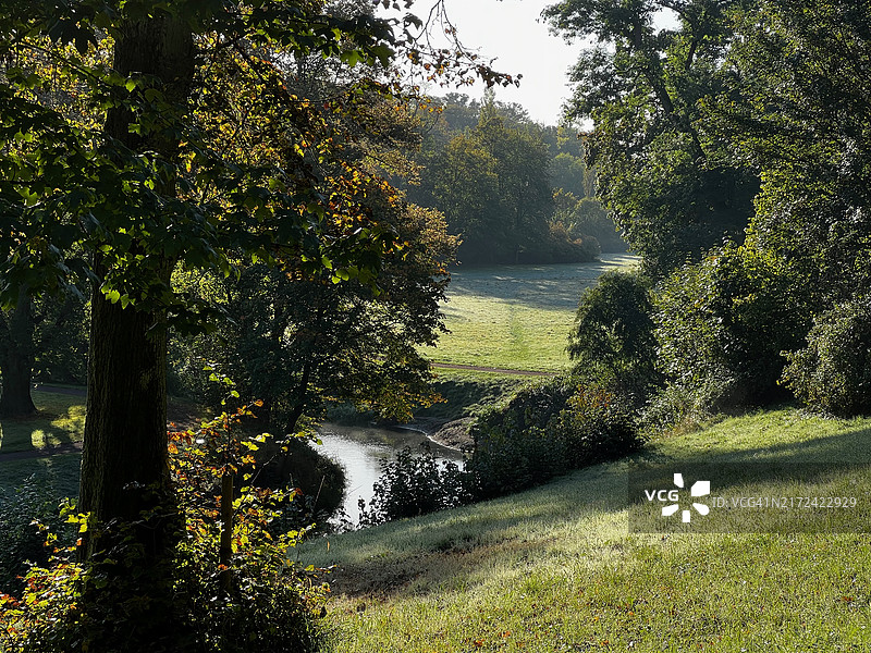 森林中的湖景图片素材