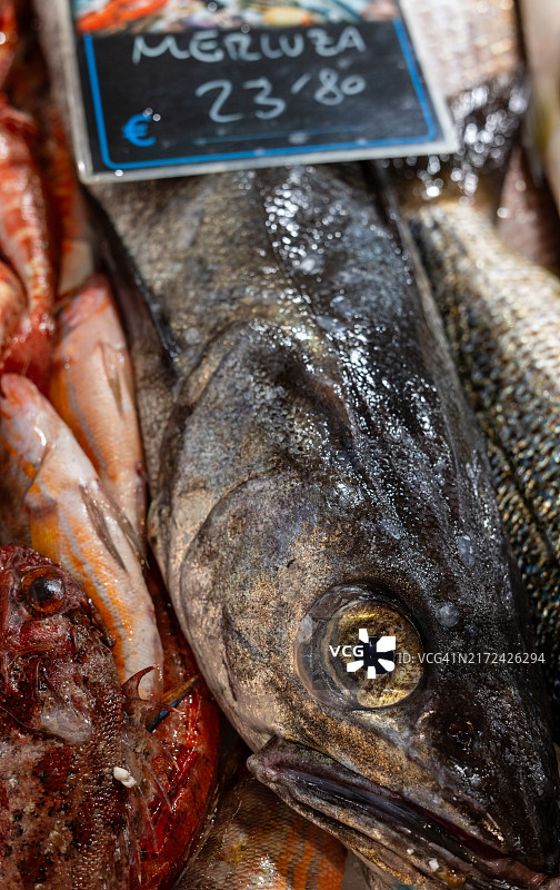 市场上待售的鱼特写图片素材