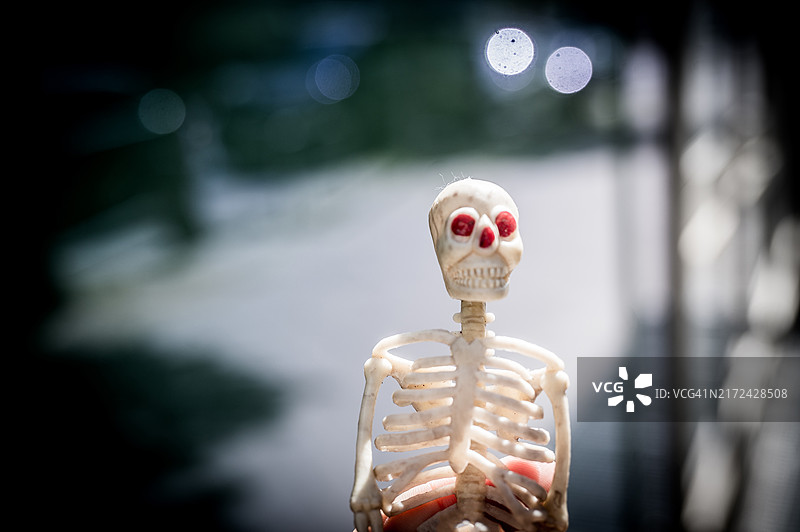 街上的假骷髅图片素材
