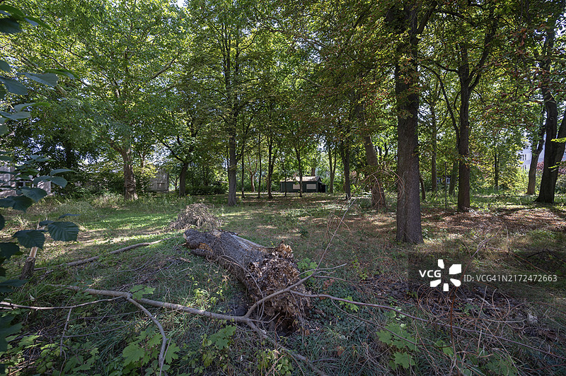 德国纽伦堡：Lederer Kulturbrauerei啤酒厂旧址，建于1468年图片素材