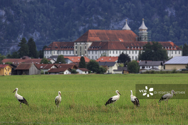 在村庄和修道院前的草地上，施莱尔多夫，巴伐利亚，德国图片素材