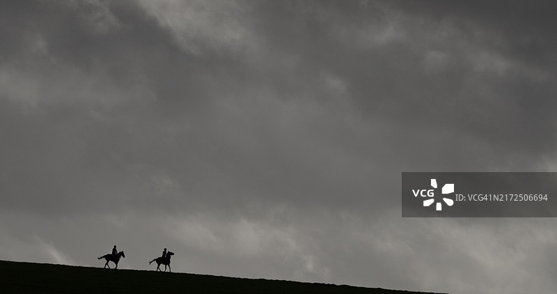 训练中的赛马图片素材