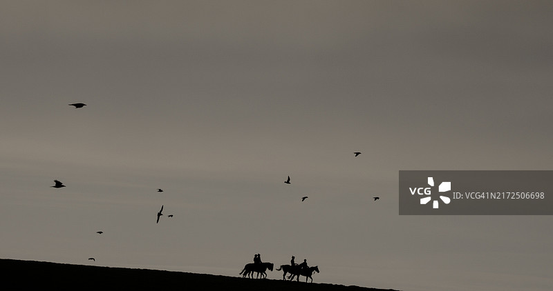 训练中的赛马图片素材