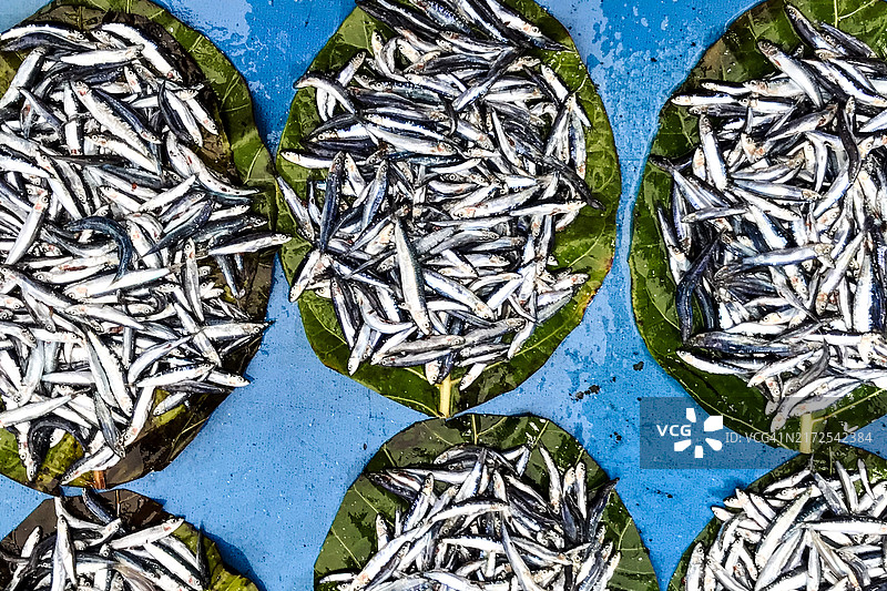 印度尼西亚巴布亚省比亚克图片素材