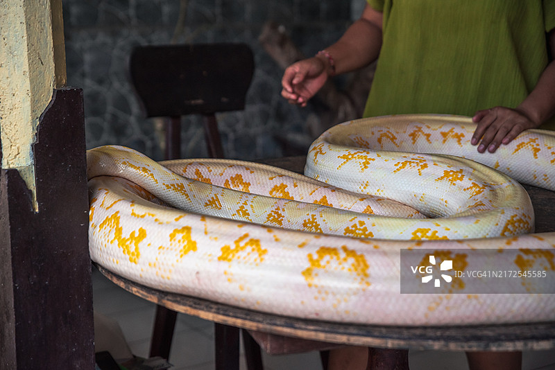 巴厘岛蒂尔塔冈加寺入口处的巨型白化蛇图片素材