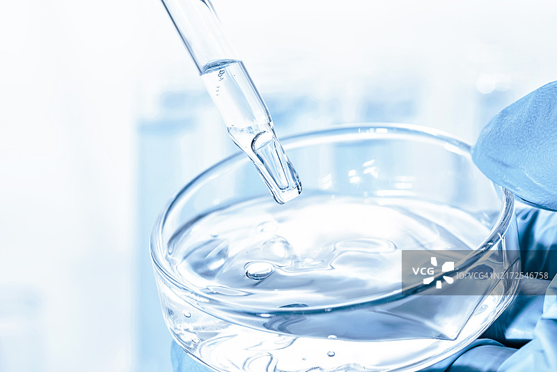 实验室移液器向培养皿中添加液体图片素材