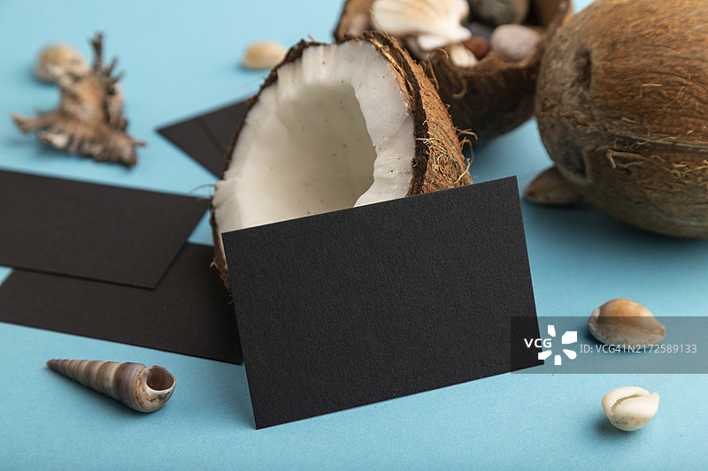 蓝色背景上的椰子和贝壳黑色纸质名片图片素材