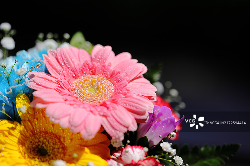 非洲菊、康乃馨、满天星、小苍兰精美花艺，具有放松效果图片素材