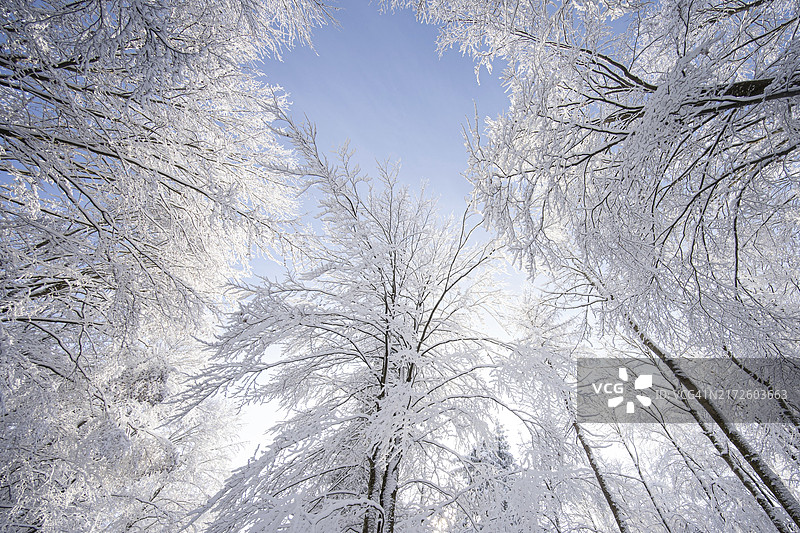 斯瓦比亚阿尔布的冬季印象图片素材