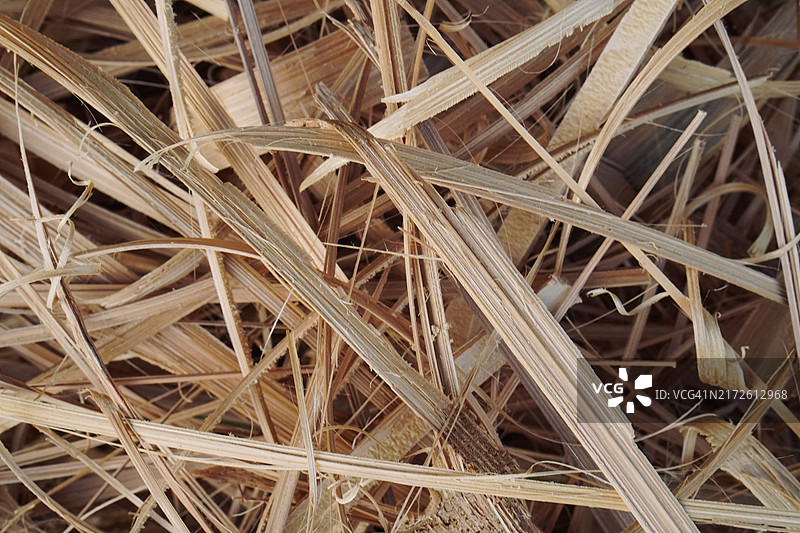 干燥竹叶图片素材