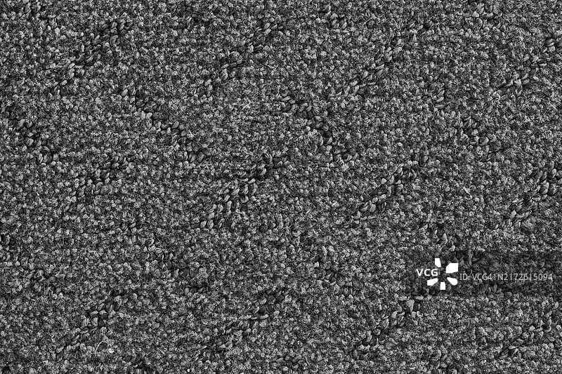 带有纹理的抽象黑色和灰色背景图片素材