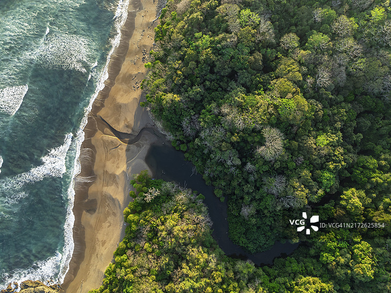 哥斯达黎加科卡利托海滩雨林和海岸鸟瞰图片素材