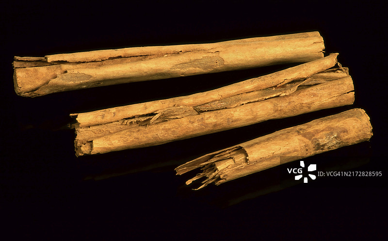 肉桂、肉桂棒、锡兰肉桂树皮、香料、药用植物图片素材