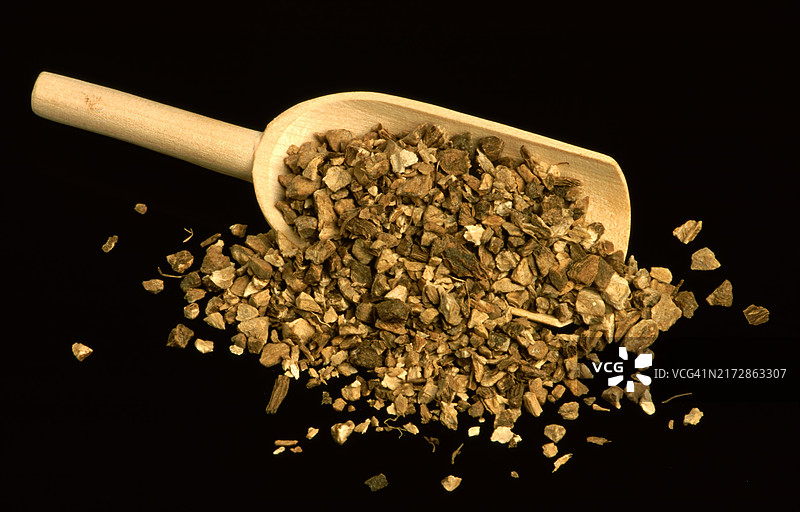 药用植物：旋覆花根图片素材