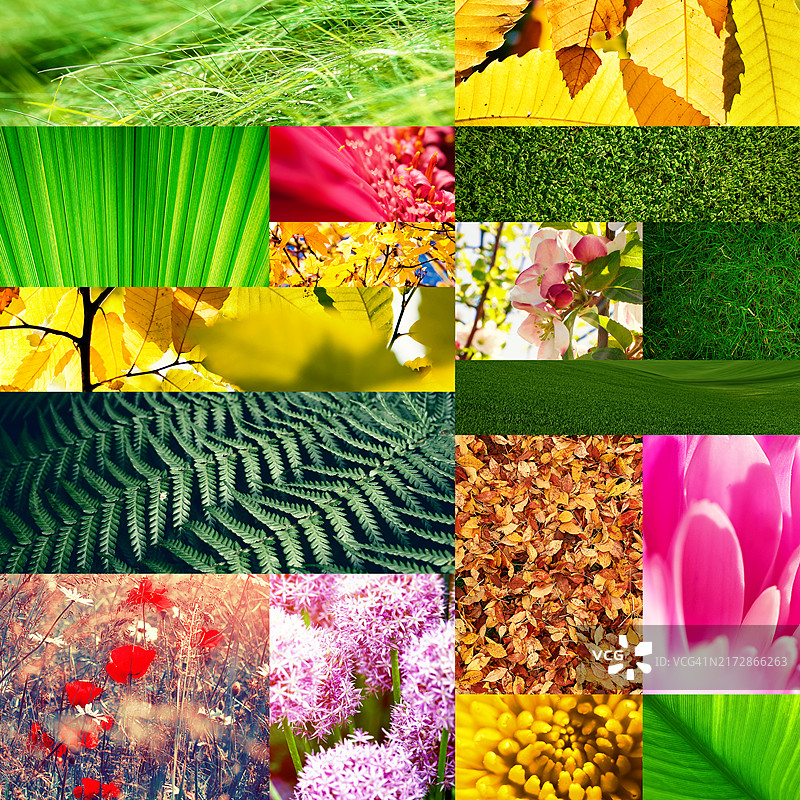 自然风光蒙太奇图片素材