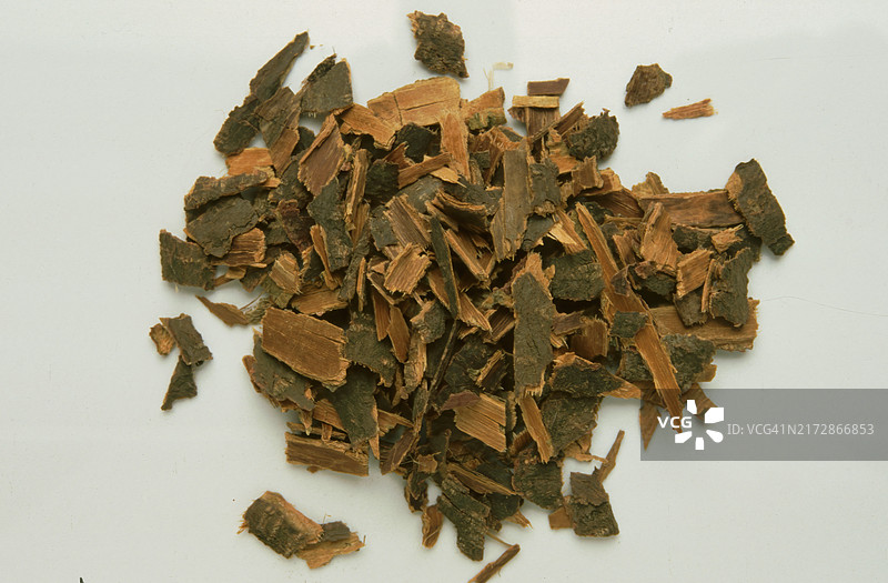 药用草本：黑桤木、鼠李皮（Rhamnus），茎和树枝的干燥树皮在药学上用作黑桤木皮，鼠李皮。该树皮药物用作泻药，可有效在大肠中短期治疗图片素材