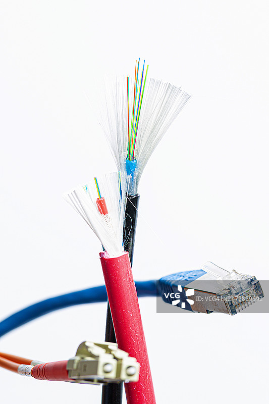 带RJ45连接器的剖开的网络电缆和带屏蔽层的剖开的光纤跳线，白色背景图片素材