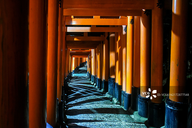 日本京都伏见稻荷大社的夜间鸟居图片素材