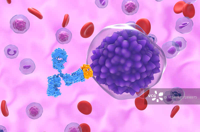 治疗白血病的单克隆抗体图片素材