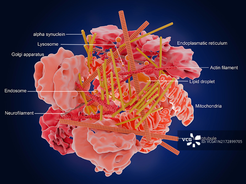路易体分子结构图图片素材