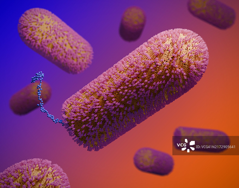 昌迪普拉病毒颗粒，图示图片素材