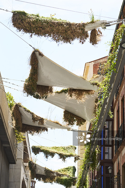 晴空下，苔藓覆盖的城市小巷中的三角形遮阳篷，一侧是建筑物图片素材
