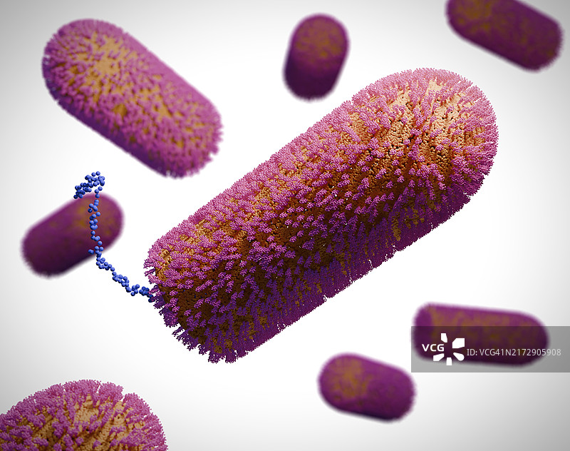 昌迪普拉病毒颗粒，图示图片素材