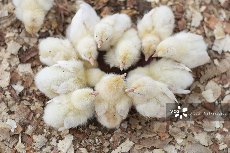 圆形图案图片素材