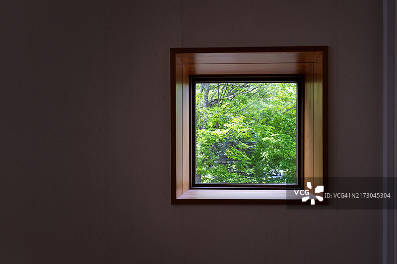 透过方形窗户看到的绿色植物图片素材