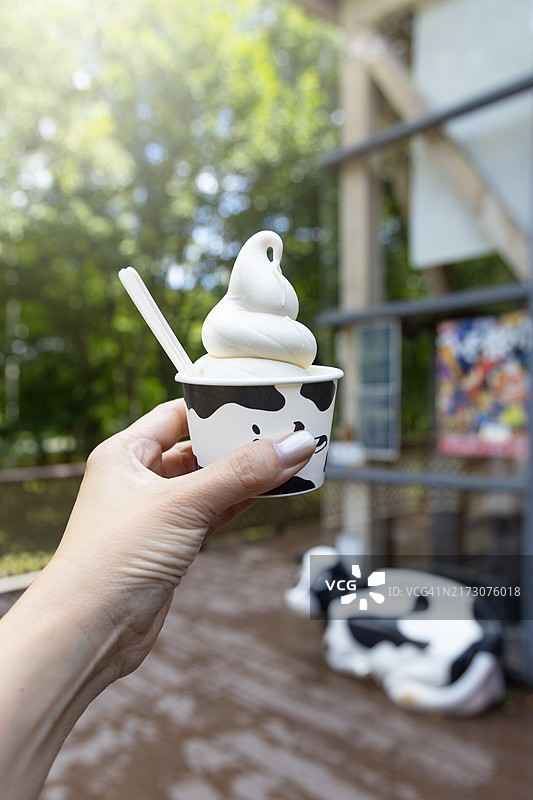 奶酪厂纸杯装奶酪冰淇淋图片素材