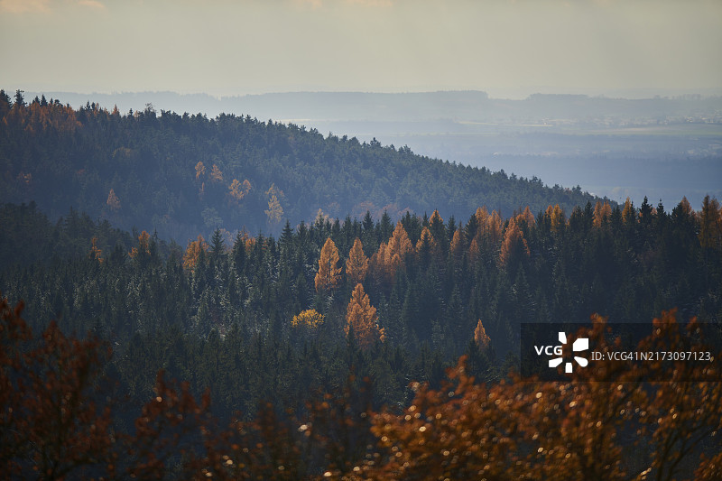 德国巴伐利亚森林秋季景色，威森特附近图片素材