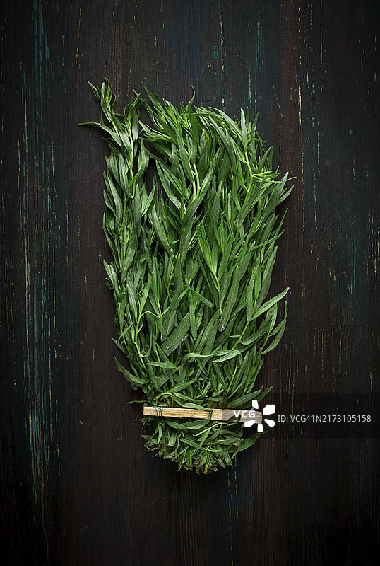 新鲜龙蒿，俯视图特写图片素材