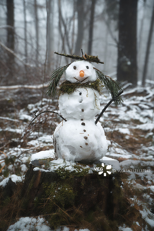 雪地森林树桩上的雪人图片素材