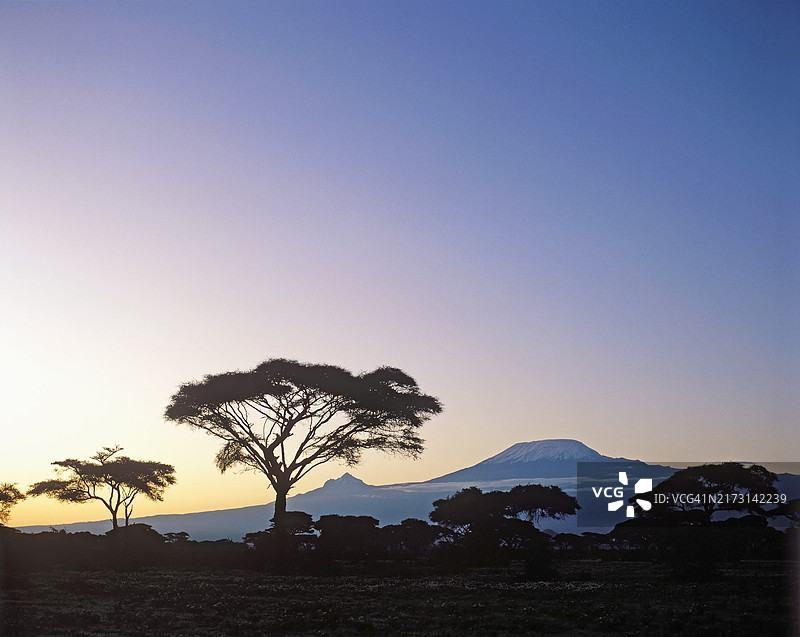 从安博塞利眺望乞力马扎罗山图片素材