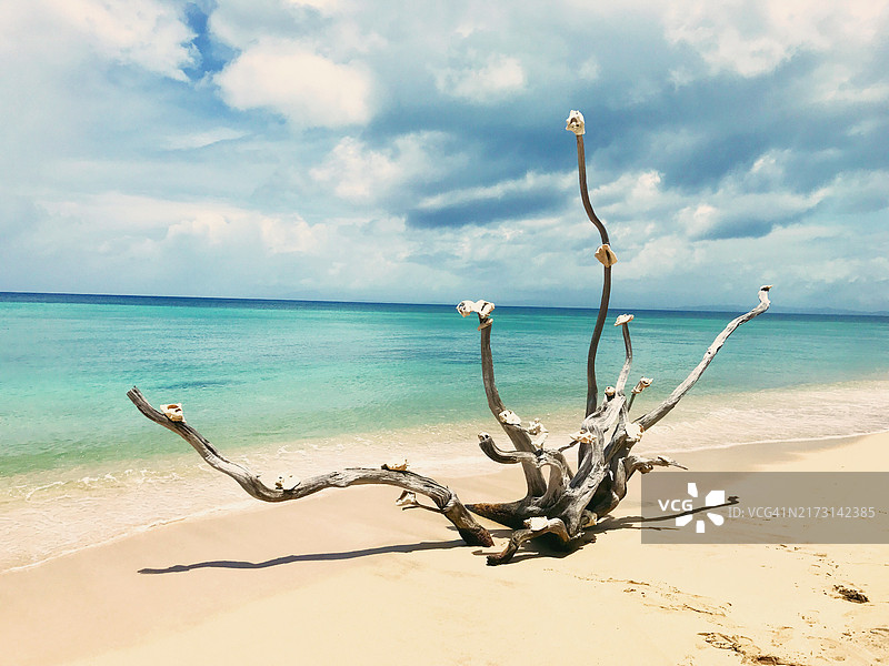 波多黎各别克斯岛的海景图片素材