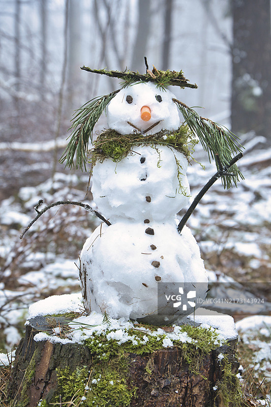 雪地森林树桩上的雪人图片素材