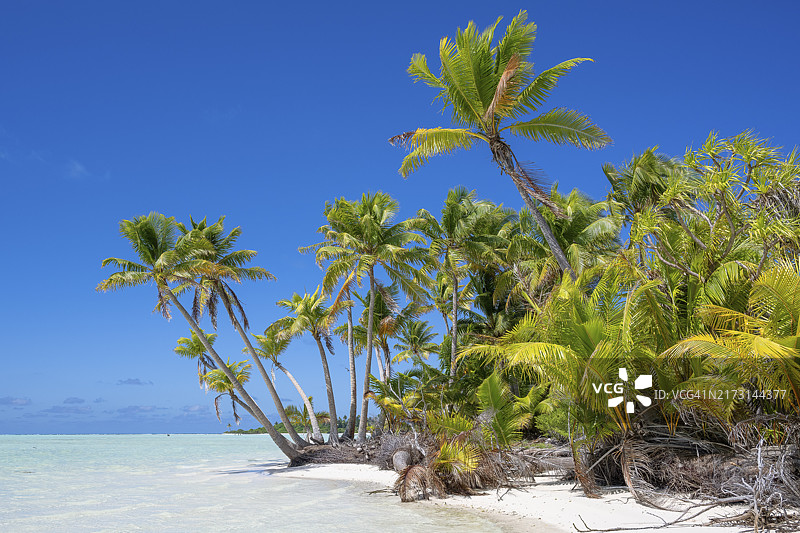 纯净南洋生态岛屿：法属波利尼西亚提提亚罗阿图片素材