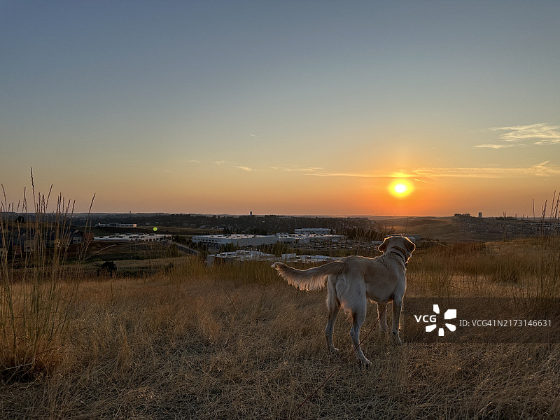日落时分华盛顿州普尔曼的田野风光图片素材