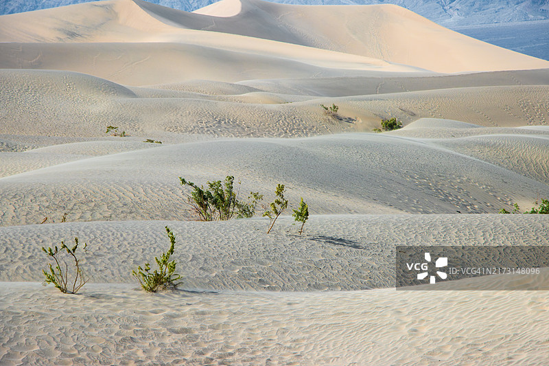 Furnace Creek沙漠风光图片素材