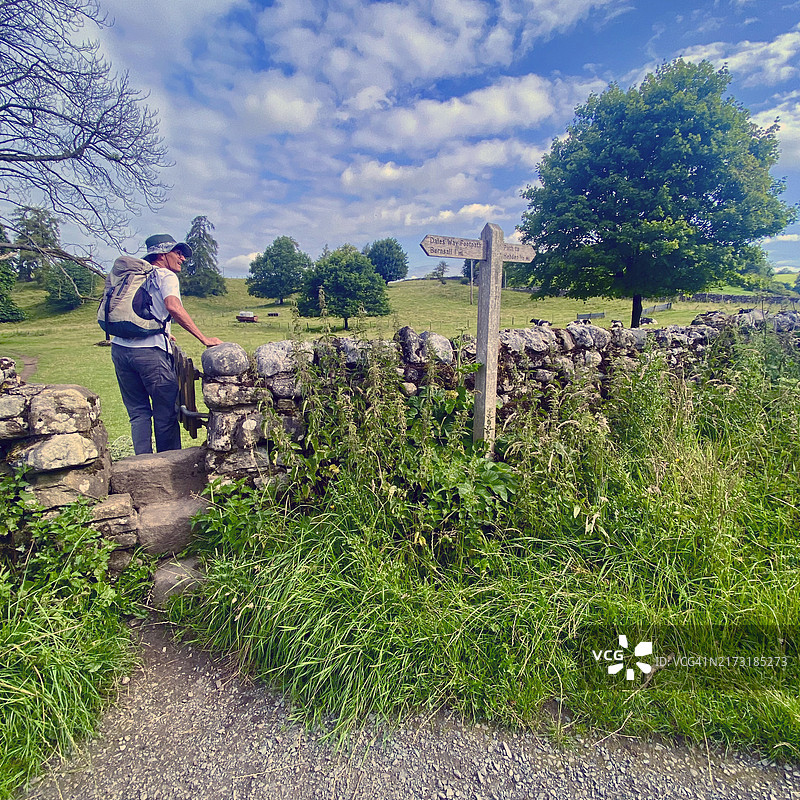 徒步者沿着英国约克郡的Dales Way行走在Burnsall和Hebden之间的石墙上图片素材
