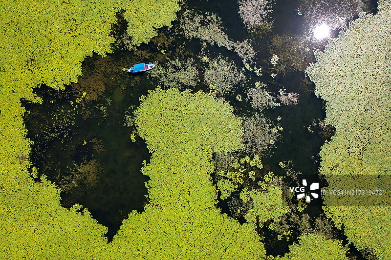 莲花湖上的乘船游览图片素材