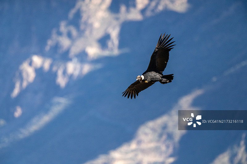 飞翔在天空中的白色物体的低角度视图图片素材