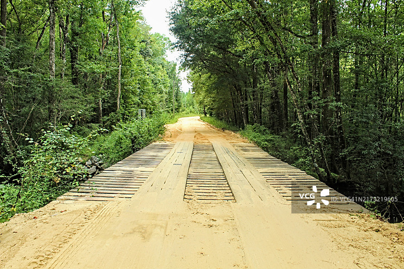 美国佛罗里达州庞塞德莱昂森林中的空旷道路图片素材