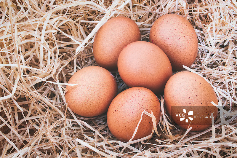 稻草背景上的半打新鲜有机鸡蛋，美国图片素材