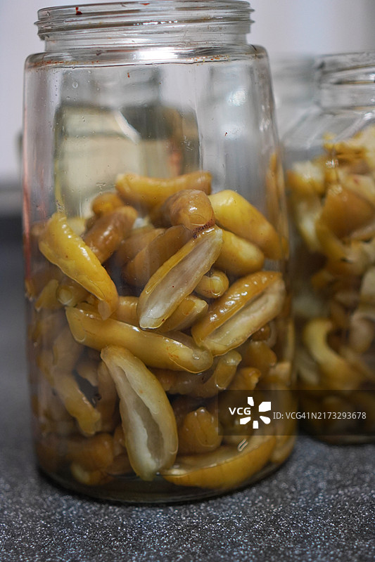 贡布藤黄发酵果实图片素材