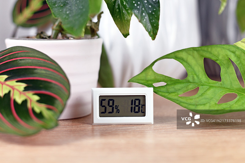 用于测量室内植物湿度和温度的温湿度计图片素材