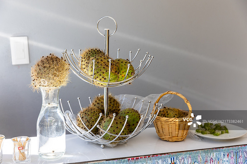 独特的仙人掌鸡尾酒：科尔卡酸酒图片素材