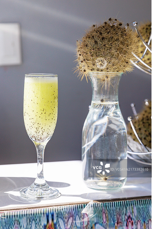 独特的仙人掌鸡尾酒：科尔卡酸酒图片素材