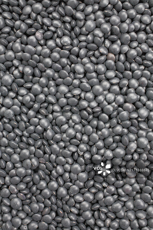 黑色 beluga 扁豆图片素材
